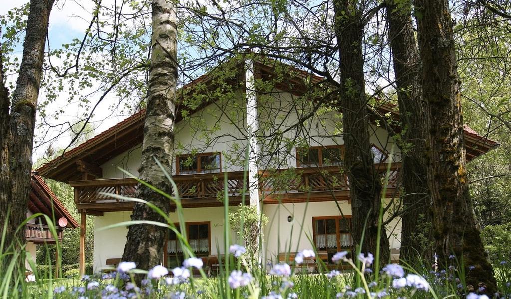 Ferienhaeuser "In Der Waldperle" Bischofsmais Exteriör bild